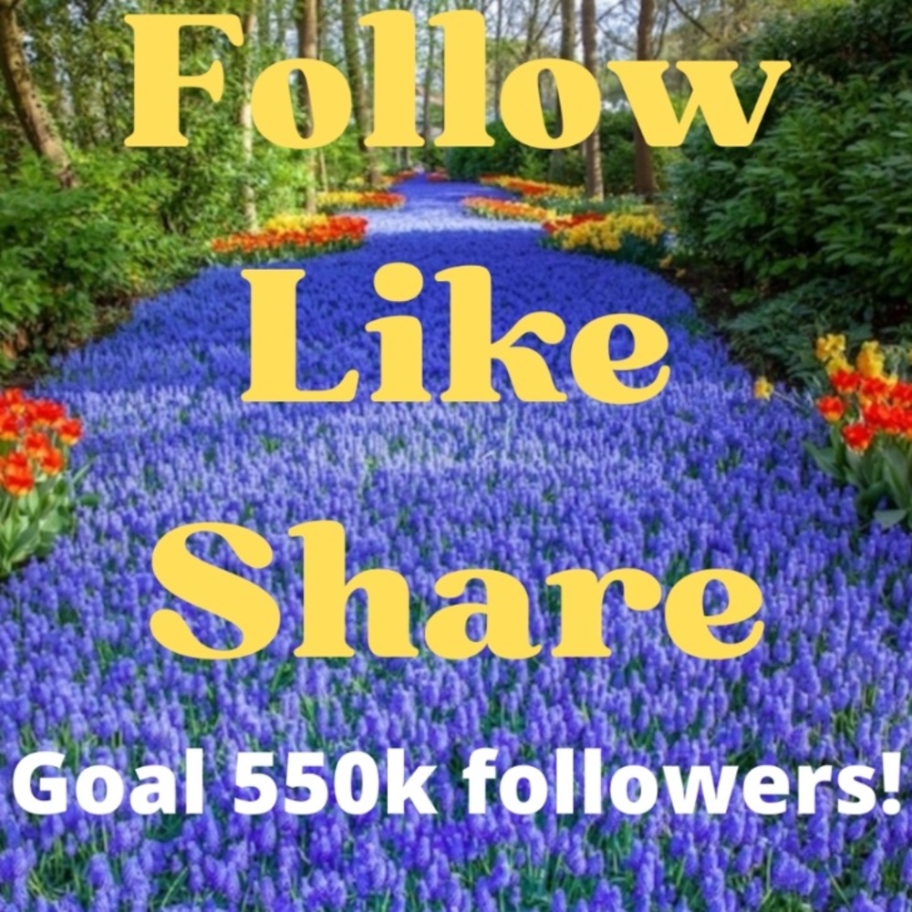 Please Follow me to 500k Followers *I will not spam you with this listing!*